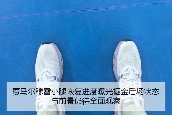 gu-ma-er-mu-lei-xiao-tui-hui-fu-jin-du-bao-guang-jue-jin-hou-chang-zhuang-tai-yu-qian-jing-reng-dai-quan-mian-guan-cha-2-427.jpg